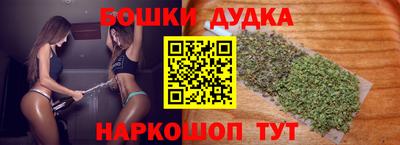 индика Пушкино