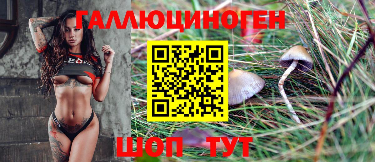 Псилоцибиновые грибы Cubensis Сургут